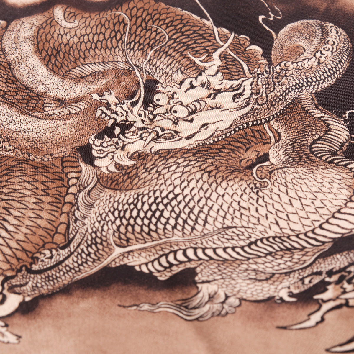 Hawaiian Brown Dragon