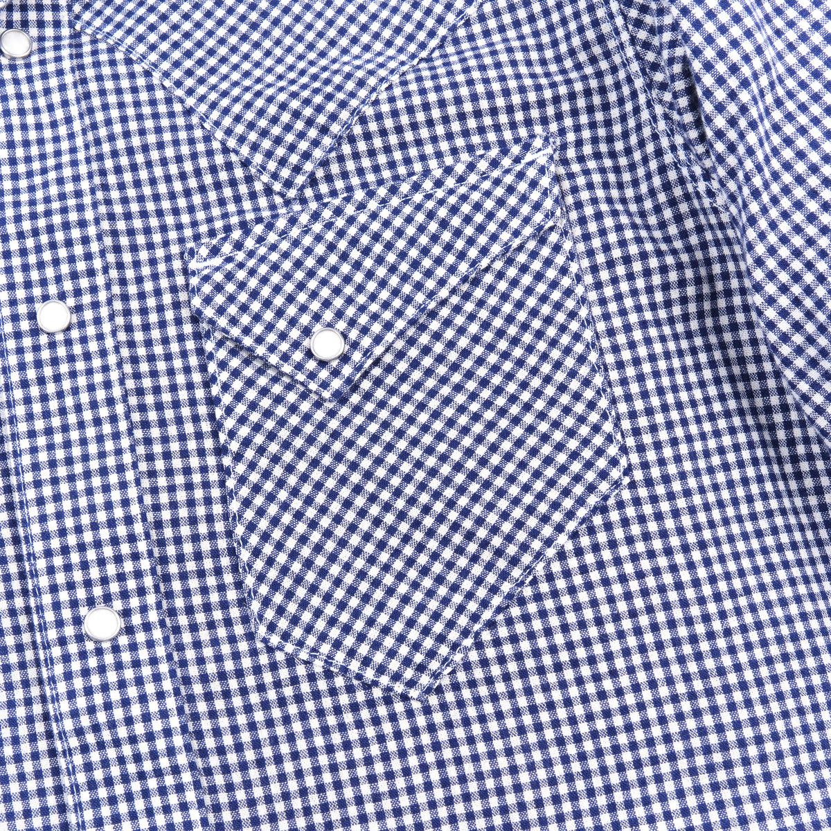 Northfork Blue Gingham