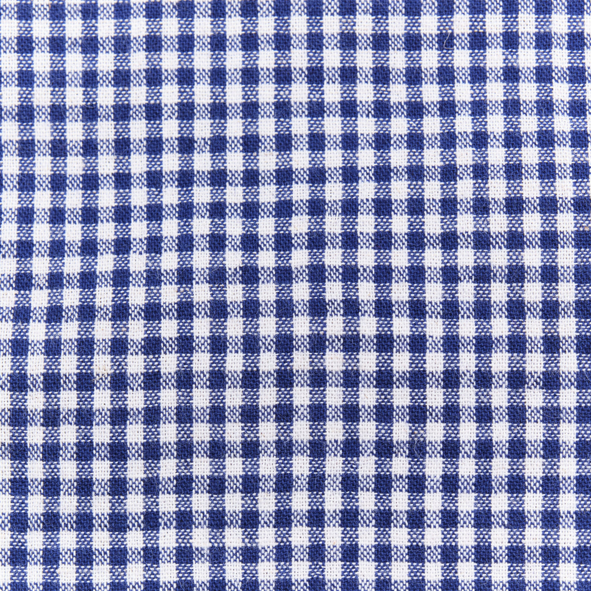 Northfork SS Blue Gingham