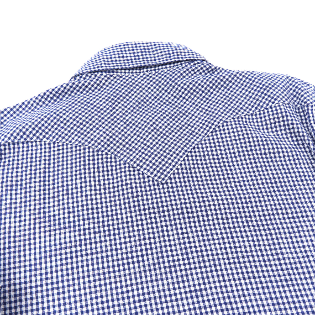 Northfork Blue Gingham